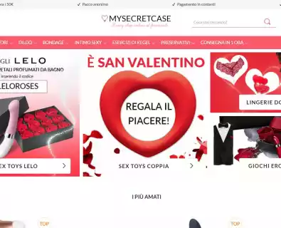 Mysecretcase.com